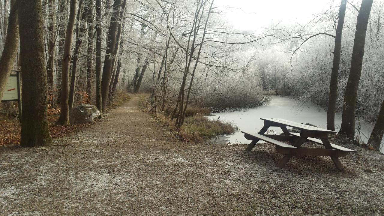 Ferienwohnung Krottensee Gmunden Buitenkant foto
