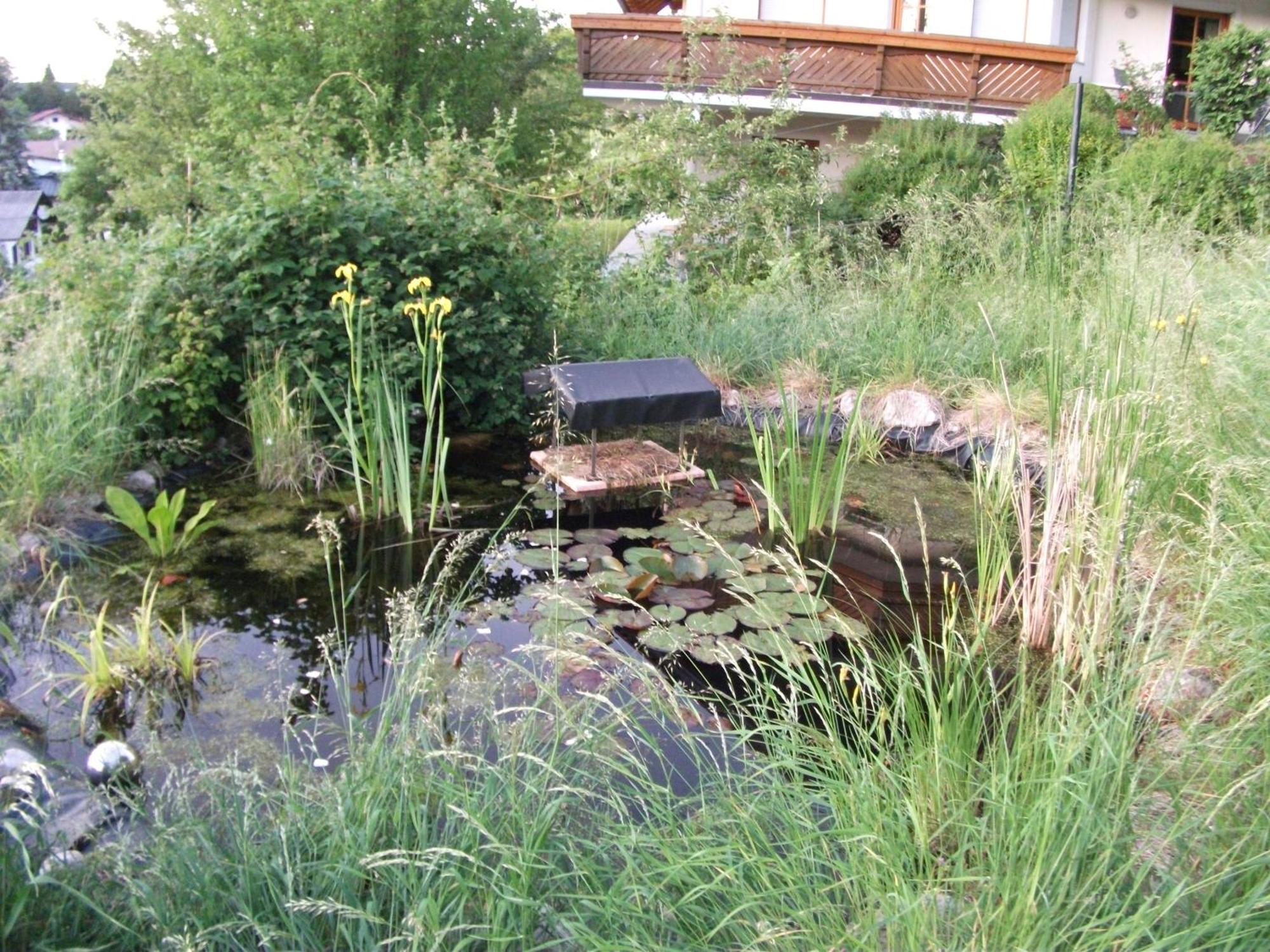 Ferienwohnung Krottensee Gmunden Buitenkant foto